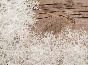 Similar image 1676751