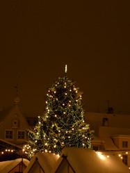 Similar image 1676830