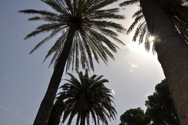 Similar image 1676847