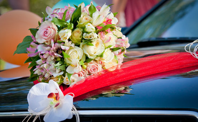 Similar image 1676986