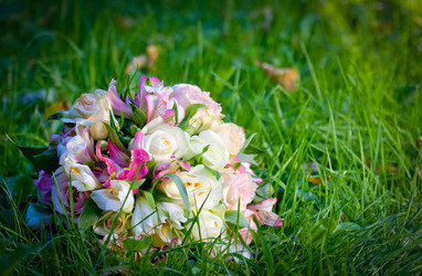 Similar image 1676988