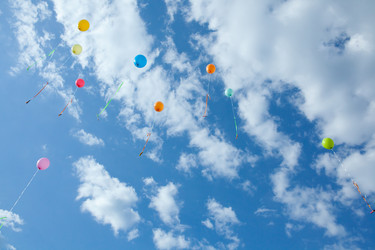 Similar image 1676992