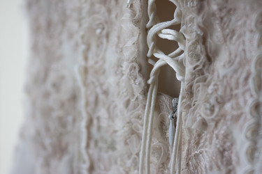 Similar image 1677003