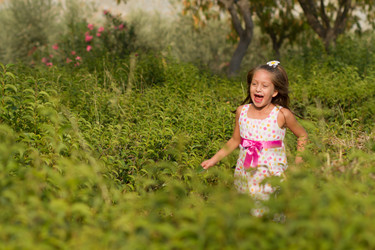 Similar image 1677133