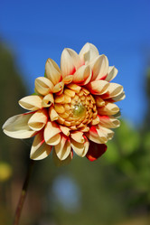 Similar image 1677159