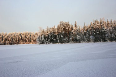 Similar image 1677162