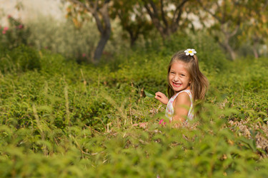 Similar image 1677200