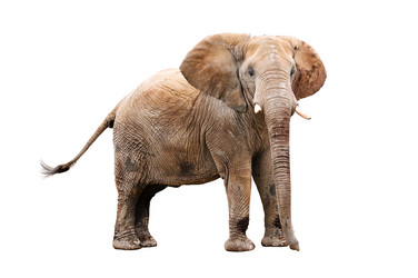 Similar image 1677443