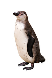 Similar image 1677446