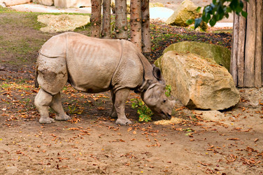 Similar image 1677450