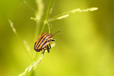 Similar image 1677472