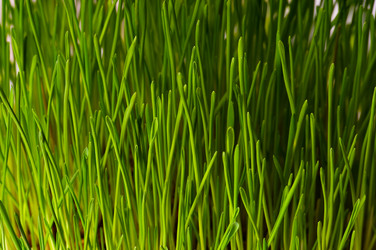 Similar image 1677500