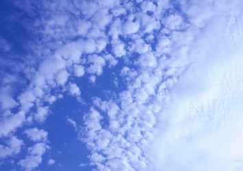 Similar image 1677576