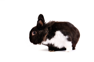 Similar image 1677596