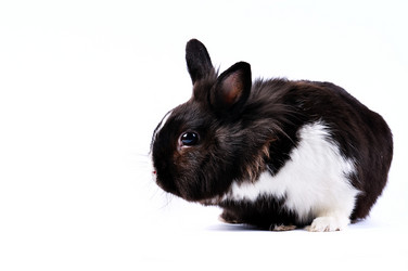 Similar image 1677685