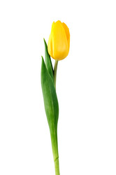 Similar image 1677686