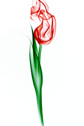 Similar image 1677687