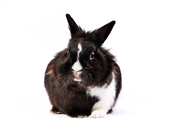 Similar image 1677691