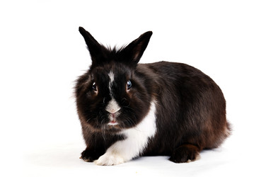 Similar image 1677693