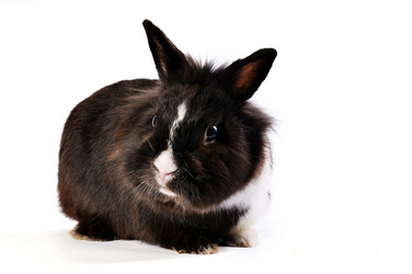 Similar image 1677694