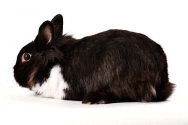 Similar image 1677696