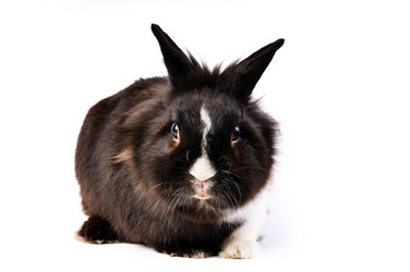 Similar image 1677697