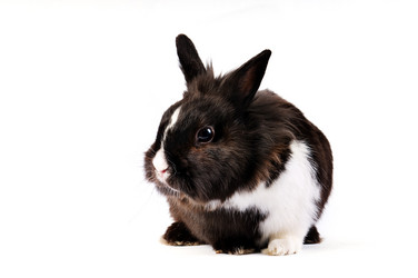 Similar image 1677698