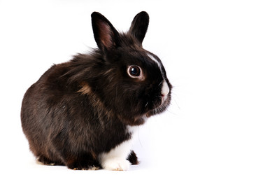 Similar image 1677699