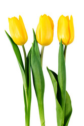 Similar image 1677701