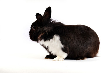 Similar image 1677721