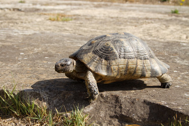 Similar image 1677760