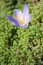 Similar image 1677773