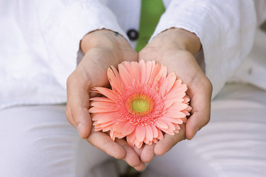 Similar image 1677774