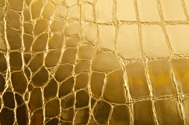 Similar image 1678032