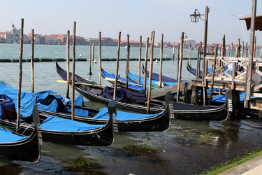 Similar image 1678121