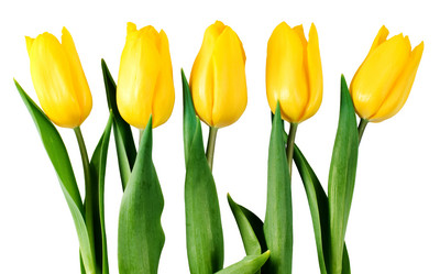 Similar image 1678181