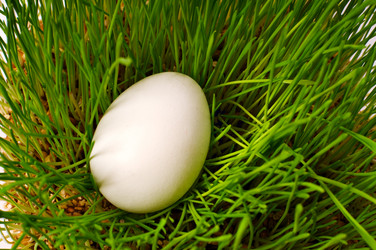 Similar image 1678203