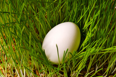 Similar image 1678206