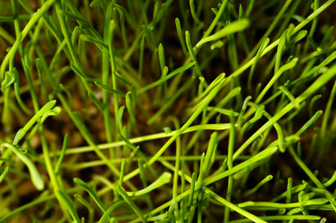 Similar image 1678207