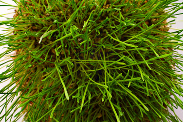 Similar image 1678208