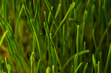 Similar image 1678211