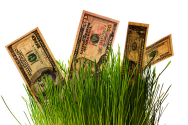 Similar image 1678217