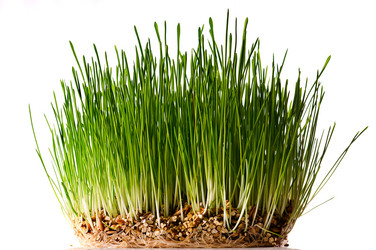 Similar image 1678218