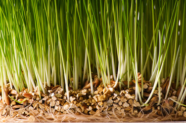 Similar image 1678221