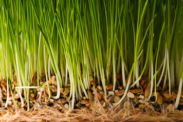 Similar image 1678224