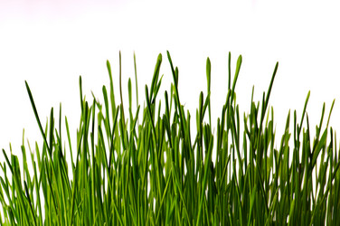 Similar image 1678226