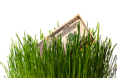 Similar image 1678235