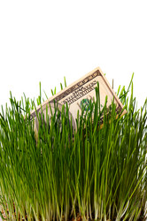 Similar image 1678240