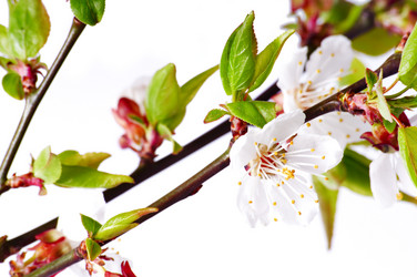 Similar image 1678250