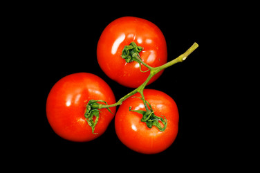 Similar image 1678298